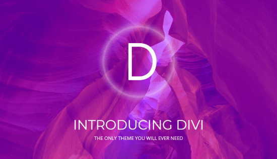 Divi WordPress theme